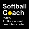 Softball Coach Noun Like A Normal Coach But Cooler Tapestry Official Coach Gifts Merch