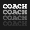 40874821 0 - Coach Gifts